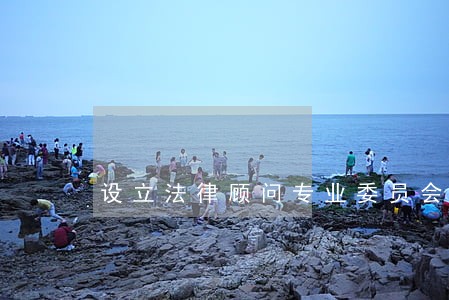 设立法律顾问专业委员会 设立法律顾问专业委员会