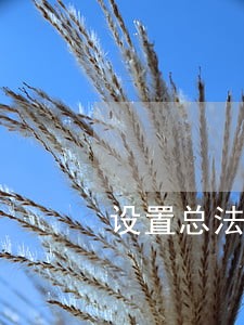 设置总法律顾问呢必要性 设置总法律顾问呢必要性