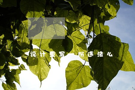 设计重写一份违法么