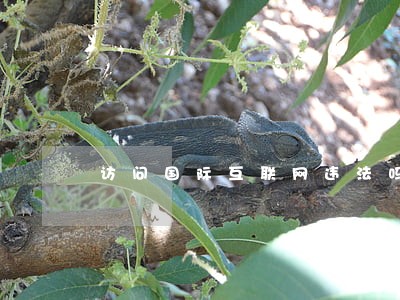 访问国际互联网违法吗 访问国际互联网违法吗