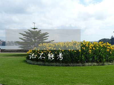 证不能考 证不能考