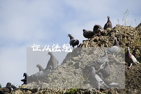 证从法规 证从法规