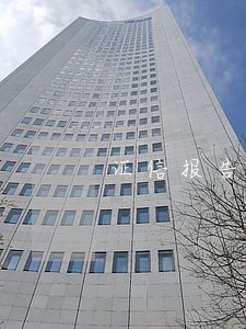 证信报告逾期5年