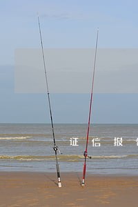 证信报告逾期6个月怎么办 证信报告逾期6个月怎么办
