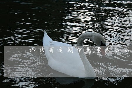 证信有逾期信用卡怎么办