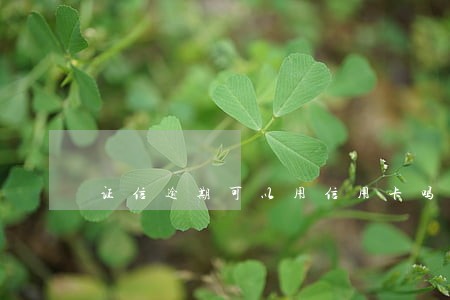 证信逾期可以用信用卡吗 证信逾期可以用信用卡吗