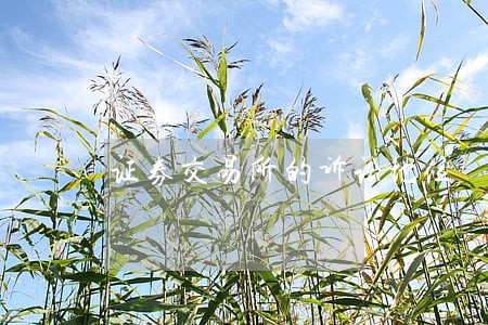 证券交易所的诉讼地位 证券交易所的诉讼地位