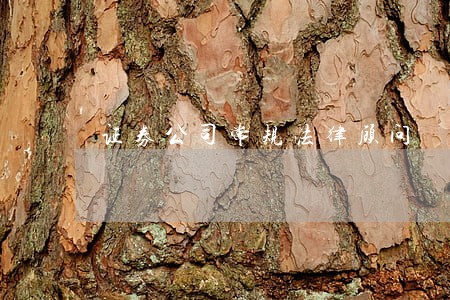 证券公司常规法律顾问 证券公司常规法律顾问