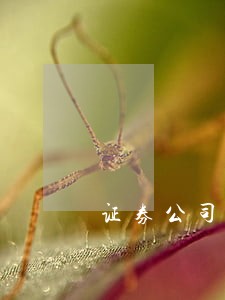 证券公司开虚假账户违法吗