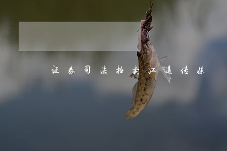 证券司法拍卖江通传媒