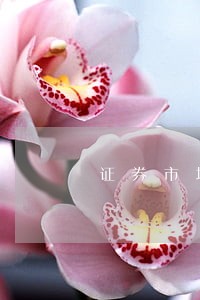 证券市场信息披露及其法律责任 证券市场信息披露及其法律责任