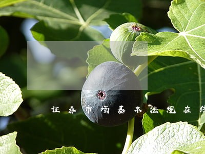 证券市场基本法规在线 证券市场基本法规在线