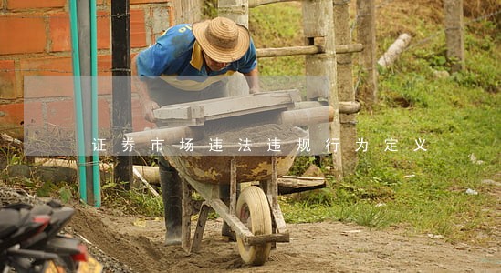 证券市场违法违规行为定义 证券市场违法违规行为定义