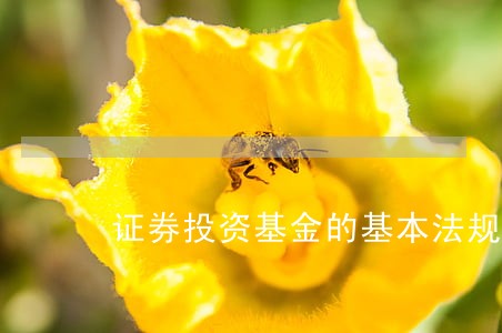 证券投资基金的基本法规 证券投资基金的基本法规