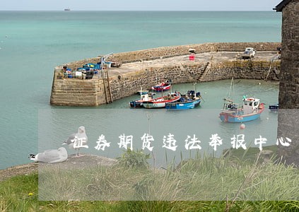 证券期货违法举报中心 证券期货违法举报中心