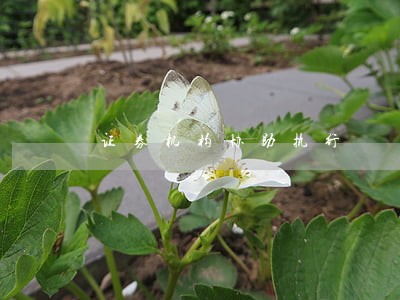 证券机构协助执行 证券机构协助执行