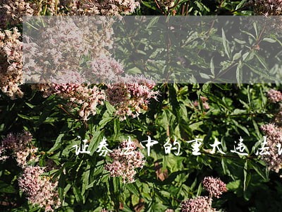 证券法中的重大违法记录