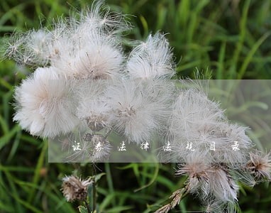 证券法律法规目录