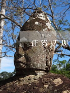 证券法规定的强制退市的情形