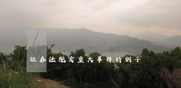 证券法规定重大事件的例子