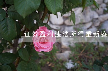 证券盈利违法所得重新鉴定 证券盈利违法所得重新鉴定