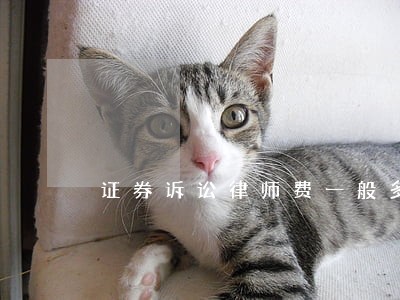证券诉讼律师费一般多少钱 证券诉讼律师费一般多少钱