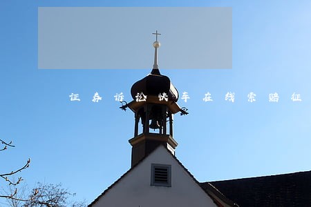 证券诉讼快车在线索赔征集