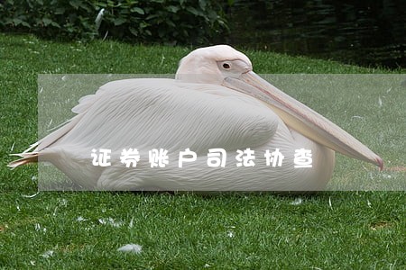 证券账户司法协查 证券账户司法协查