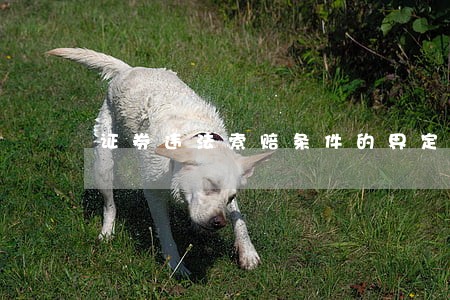 证券违法索赔条件的界定 证券违法索赔条件的界定