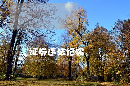 证券违法纪实