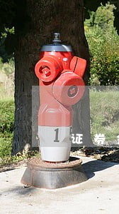 证券金融知识跟法规哪个容易