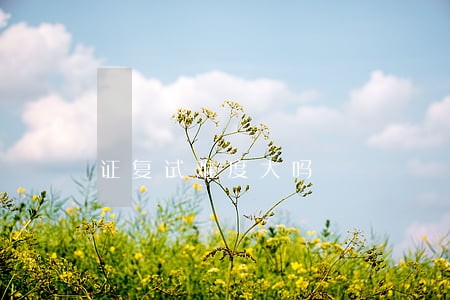 证复试难度大吗 证复试难度大吗