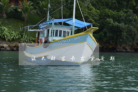 证大财富卡友贷逾期 证大财富卡友贷逾期