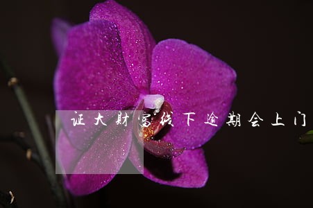 证大财富线下逾期会上门吗 证大财富线下逾期会上门吗