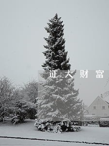 证大财富贷款只还本金 证大财富贷款只还本金