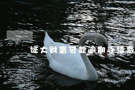 证大财富贷款逾期手续费 证大财富贷款逾期手续费