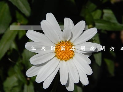 证大财富近期逾期会立案吗 证大财富近期逾期会立案吗