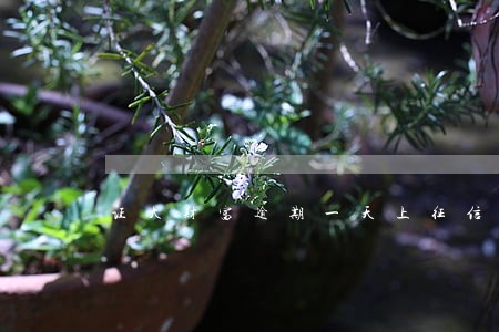 证大财富逾期一天上征信吗 证大财富逾期一天上征信吗