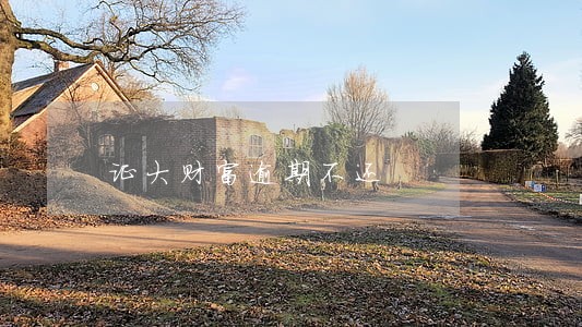 证大财富逾期不还 证大财富逾期不还