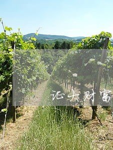 证大财富逾期冻结资产 证大财富逾期冻结资产