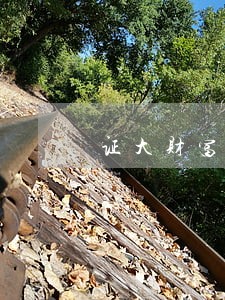 证大财富逾期吧
