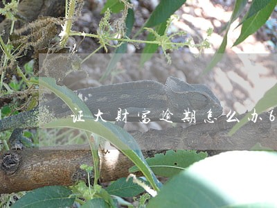 证大财富逾期怎么办6 证大财富逾期怎么办6
