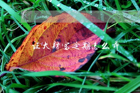 证大财富逾期怎么弄
