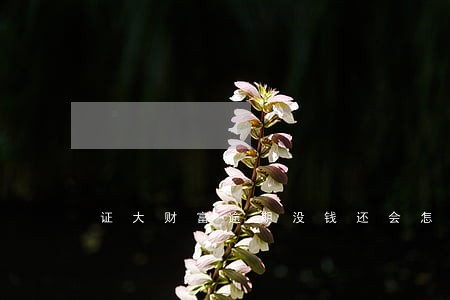 证大财富逾期没钱还会怎么样 证大财富逾期没钱还会怎么样