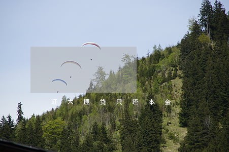 证大速贷只还本金 证大速贷只还本金
