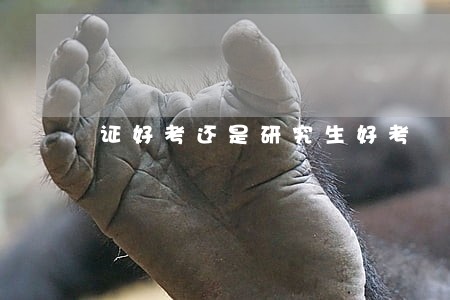 证好考还是研究生好考