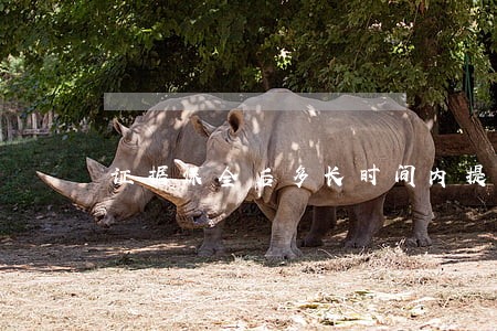 证据保全后多长时间内提起诉讼 证据保全后多长时间内提起诉讼