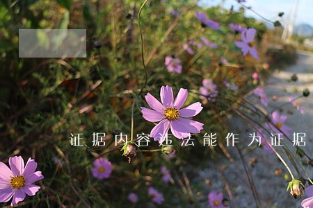 证据内容违法能作为证据吗