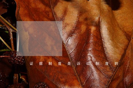 证据制度是诉讼制度的 证据制度是诉讼制度的