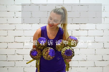 证据在诉讼中的价值 证据在诉讼中的价值